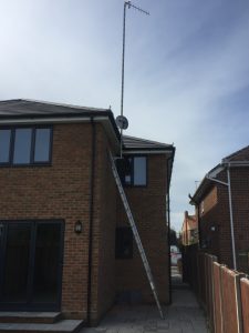 IMG_1058 ladder