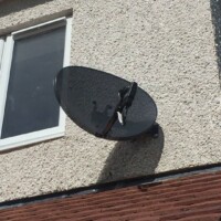 dish